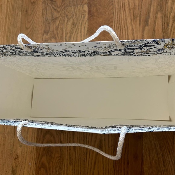 Dior Colonna Piazza gift/shopping bag - Picture 3 of 4